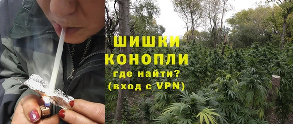 амф Касимов