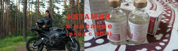 прущие грибы Болохово