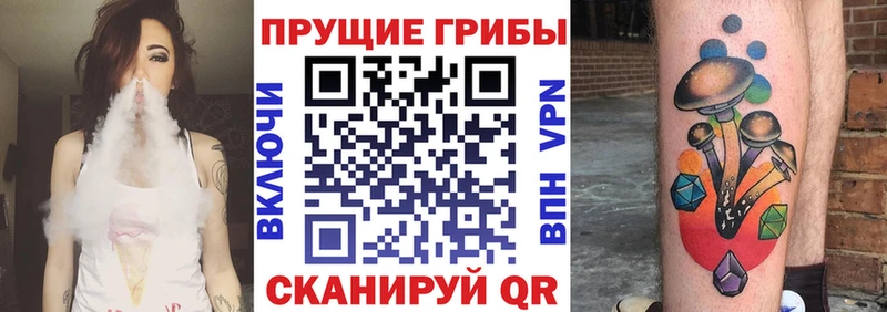 наркошоп  Красавино  Галлюциногенные грибы Cubensis 